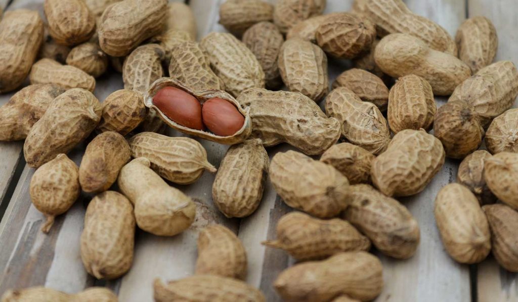 Hast Du eine Allergie kannst Du Alternativen beim veganen Backen oder Kochen verwenden