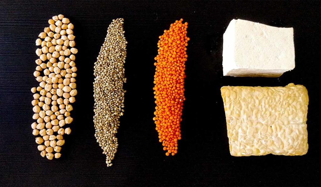 Pflanzliche Proteinmischungen sind gut für vegan für Einsteiger geeignet, da sie alle Aminosäuren enthalten