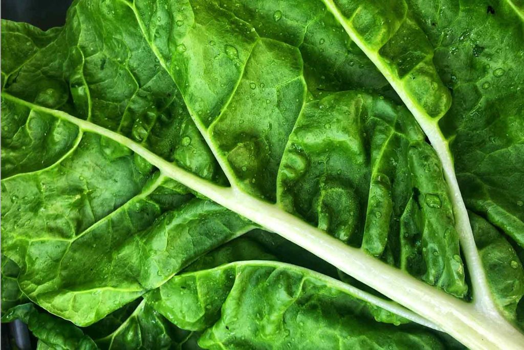Mit dunkelgrünem Gemüse vegan abnehmen auf Dauer