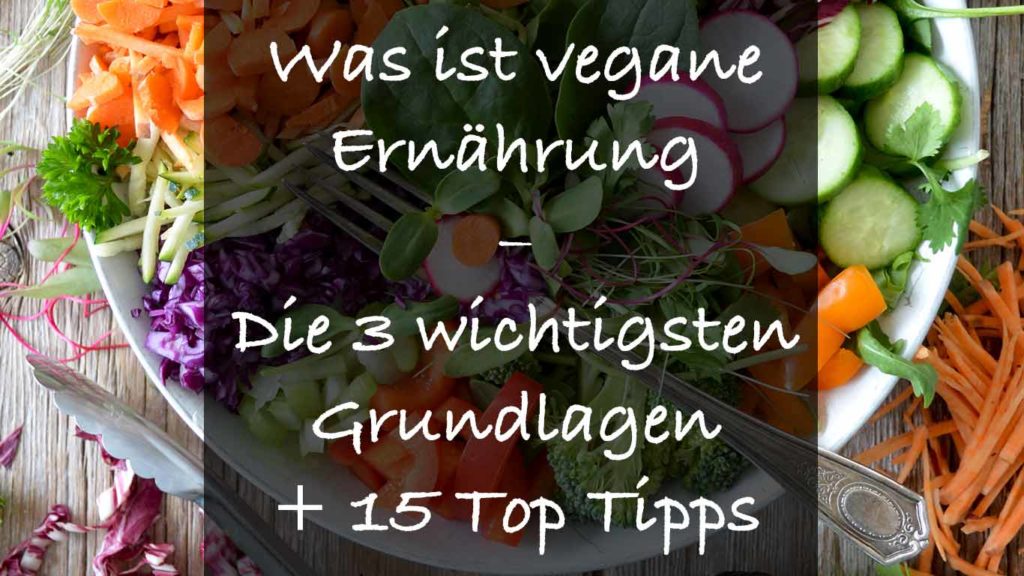 Was Ist Vegane Ernährung Die 3 Wichtigsten Grundlagen 15 - 