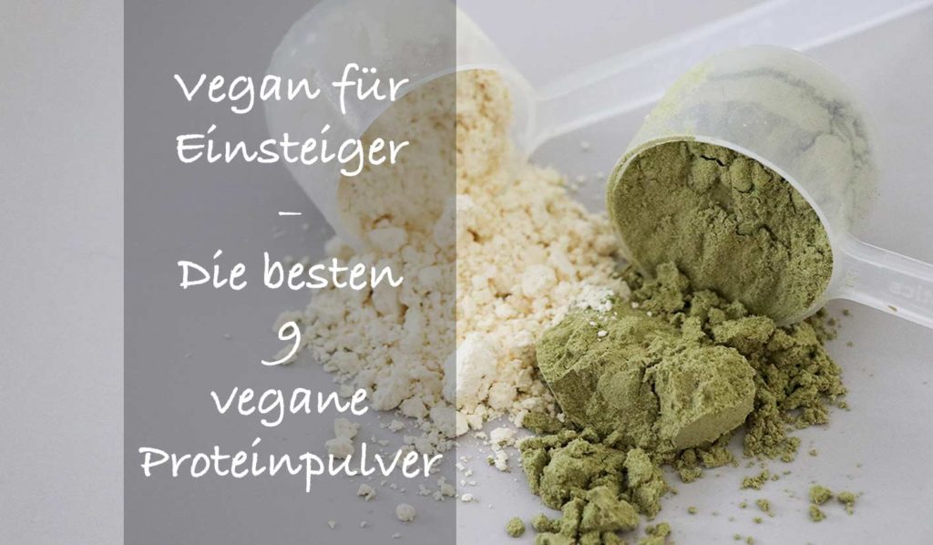 Für alle Neu-Veganer gibt es hier einmal aufgelistet die besten neun vegane Proteinpulver